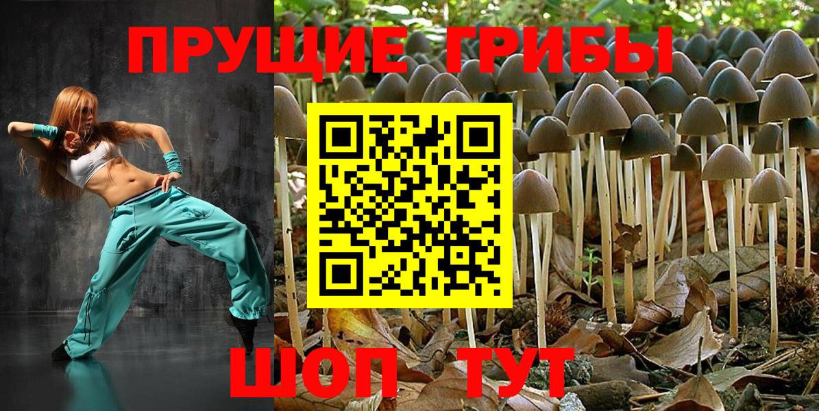 Светлоград  Галлюциногенные грибы Psilocybine cubensis  Псилоцибиновые грибы GOLDEN TEACHER  Вход с VPN 